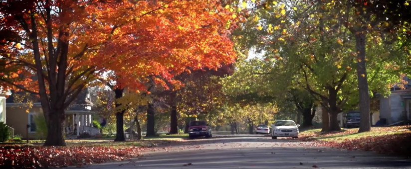 Neodesha City street with fall trees